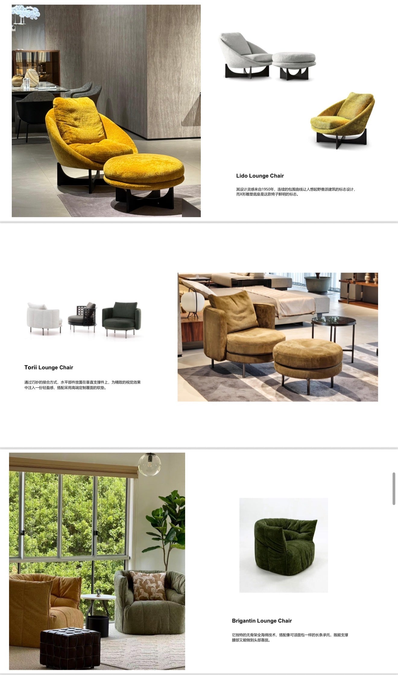 Modern Accent chairs