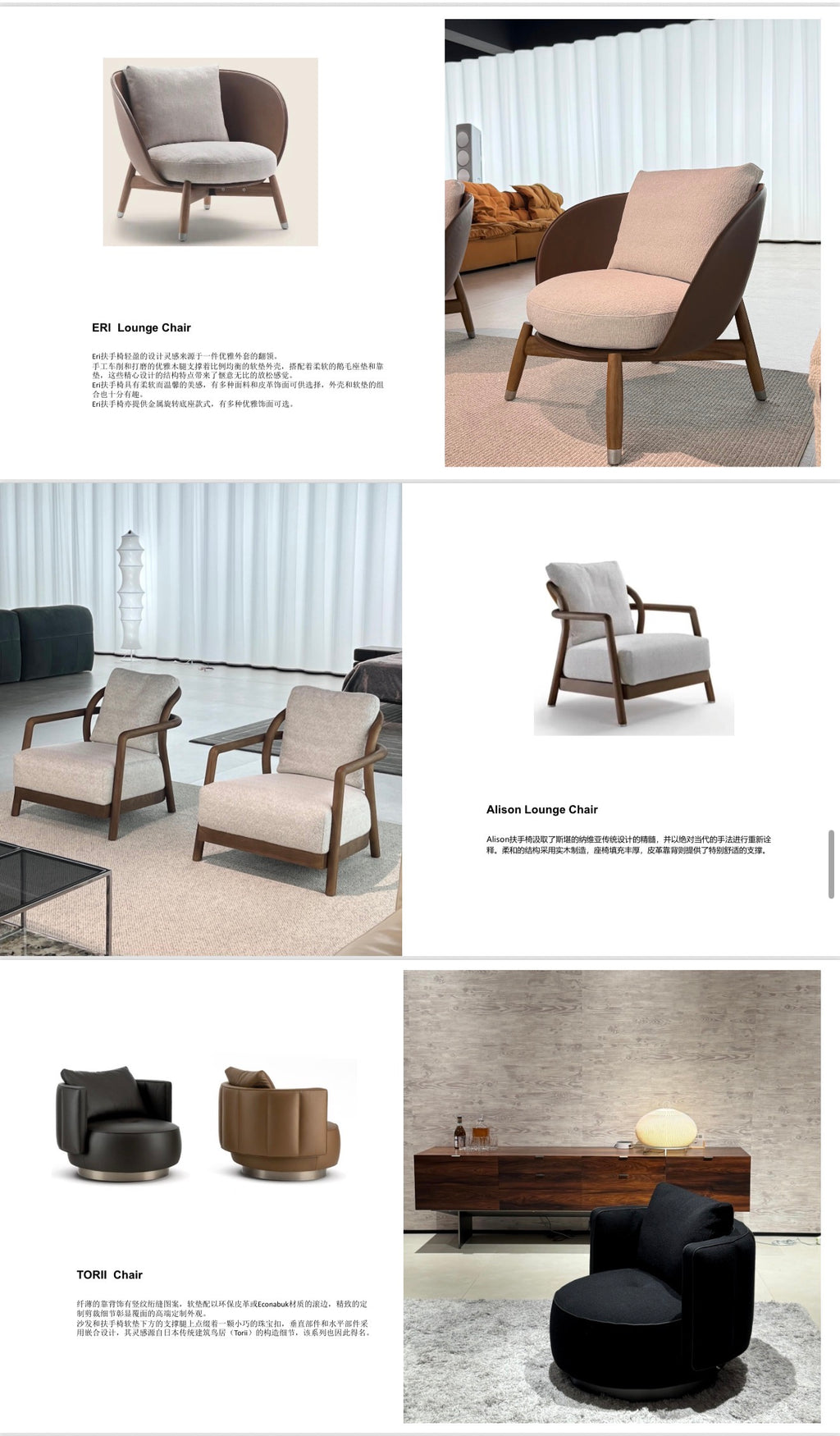 Modern Accent chairs