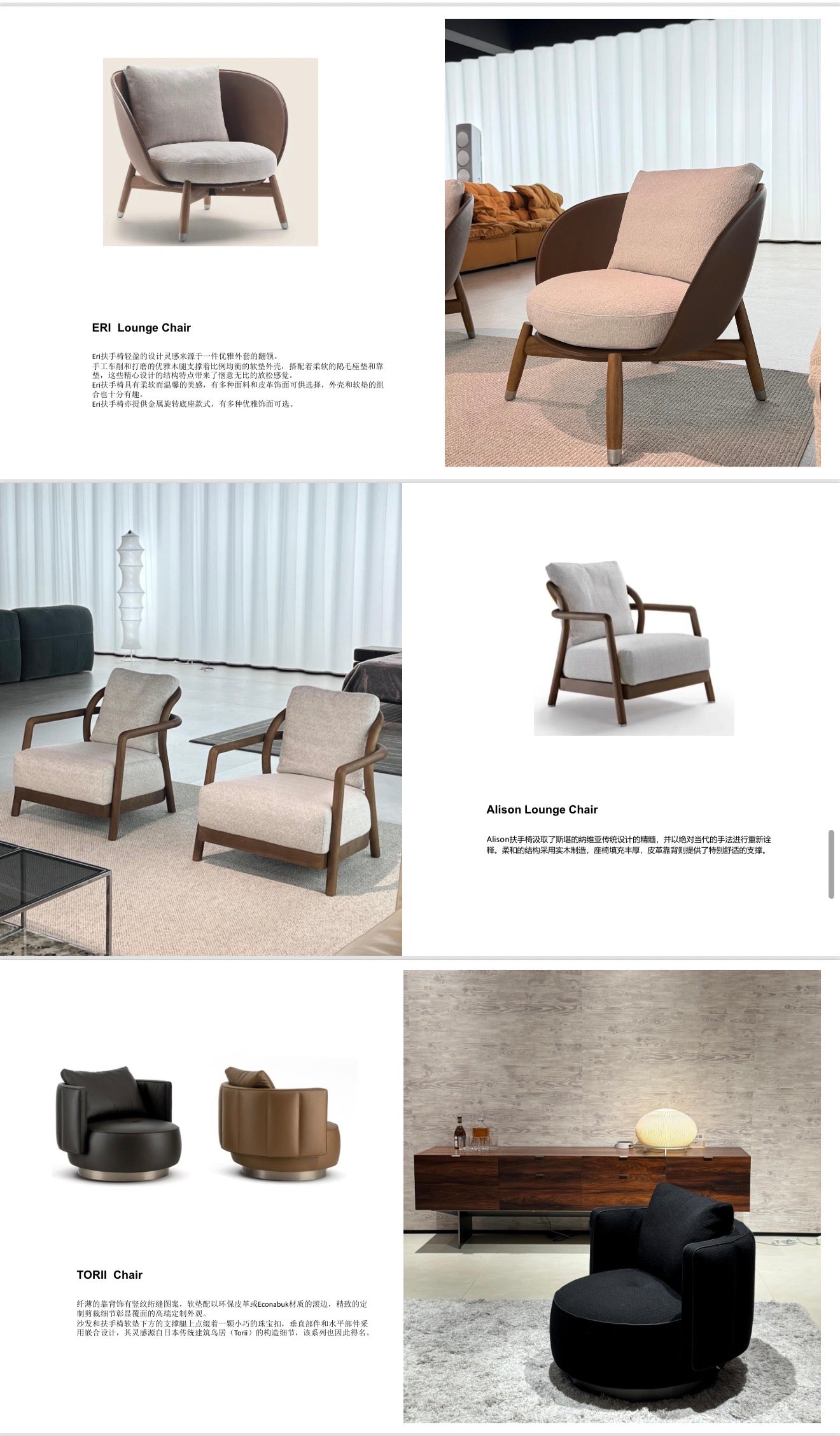 Modern Accent chairs